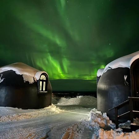 Talkeetna Aerie Adventure Lodge Экстерьер фото